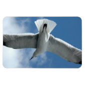 Flexible Mouette blanche volant Flexi Magnet (Horizontal)