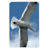 Flexible Mouette blanche volant Flexi Magnet (Vertical)