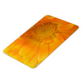 Flexible Orange Marigold Macro Magnet Premium (Côté Gauche)