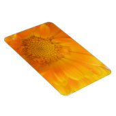 Flexible Orange Marigold Macro Magnet Premium (Côté Droit)