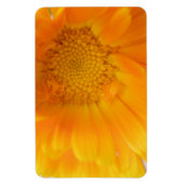 Flexible Orange Marigold Macro Magnet Premium (Vertical)