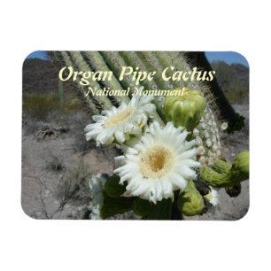 Flexible Orgue Pipe Cactus Monument national Magnet
