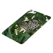 Flexible Papier Tropical Papier Kite Papillon Flexi Magnet (Côté Gauche)