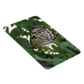 Flexible Papier Tropical Papier Kite Papillon Flexi Magnet (Côté Droit)