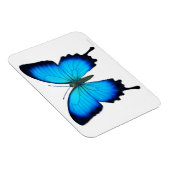 Flexible Papilio bleu Ulysse Papillon Magnet Premium (Côté Droit)