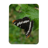Flexible Papillon sur Snowball bush Magnet (Vertical)