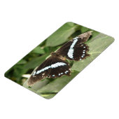 Flexible Papillon tropical noir et blanc Magnet Flexi (Côté Gauche)