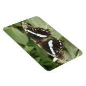 Flexible Papillon tropical noir et blanc Magnet Flexi (Côté Droit)