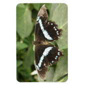 Flexible Papillon tropical noir et blanc Magnet Flexi (Vertical)