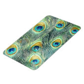 Flexible PEACOCK FEATHERS Magnet (Côté Gauche)