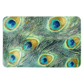 Flexible PEACOCK FEATHERS Magnet (Horizontal)