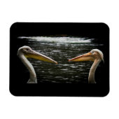 FLEXIBLE PELICANS LOVERS MAGNET (Horizontal)