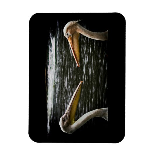 FLEXIBLE PELICANS LOVERS MAGNET (Vertical)