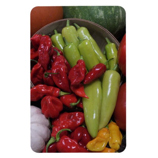 Flexible Peppers N Magnet Légume (Vertical)