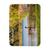 Flexible Perth Black Swan Australie Magnet (Vertical)