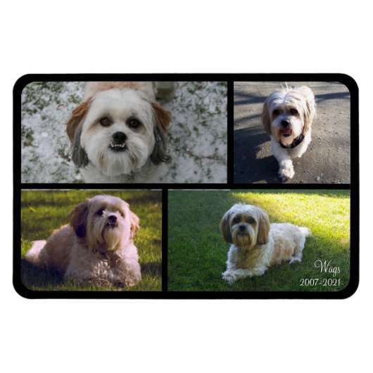 Flexible Pet Memorial Photo Collage Nom avec Dates Magnet (Horizontal)