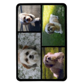Flexible Pet Memorial Photo Collage Nom avec Dates Magnet (Vertical)