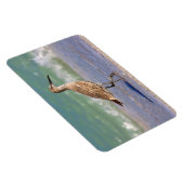 Flexible Petit Raviépi de Courlis sur Floride Magnet de pla (Côté Droit)