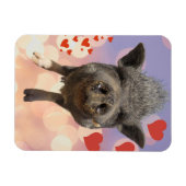 Flexible Phil Valentines jour Magnet (Horizontal)