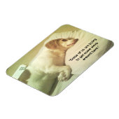 Flexible Photo beagle "Essayer de dormir" Magnet 3x4 (Côté Gauche)