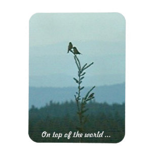 Flexible Photo Magnet - Au sommet du monde ...