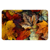 Flexible Photographie de feuillage d'automne-Flexi Magnet (Horizontal)