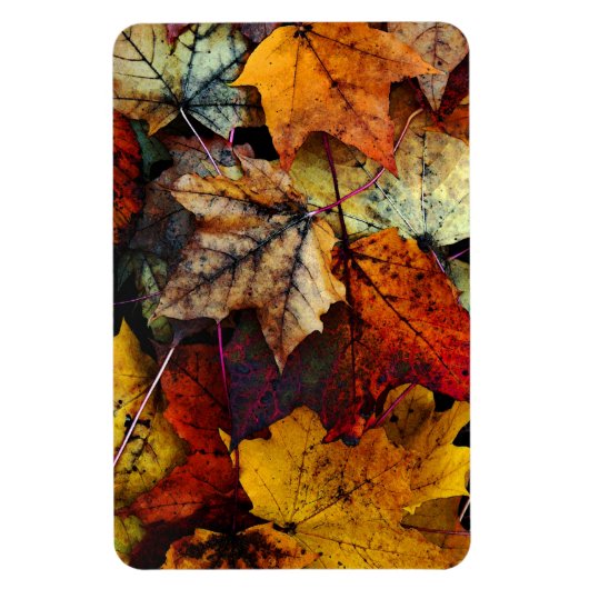 Flexible Photographie de feuillage d'automne-Flexi Magnet (Vertical)