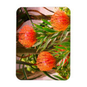 Flexible Pincushion Tango #1 Magnet (Vertical)