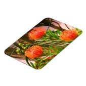 Flexible Pincushion Tango #1 Magnet (Côté Gauche)