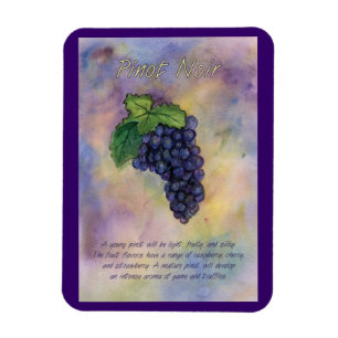 Flexible Pinot Noir Vin Raisins Peinture Art Magnet