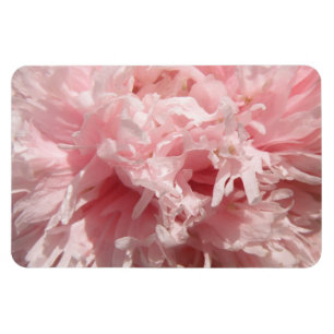 Flexible Pretty Pale Rose Poppy Magnet Premium