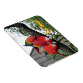 Flexible Red Macaws Magnet (Côté Droit)