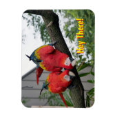 Flexible Red Macaws Magnet (Vertical)