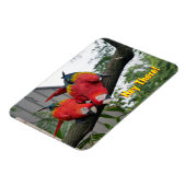 Flexible Red Macaws Magnet (Côté Gauche)