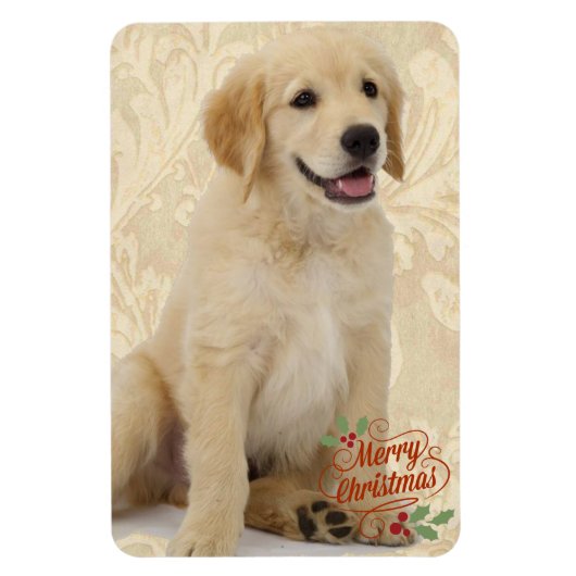 Flexible Refrigerator Magnet Pet's Modèle photo Christmas (Vertical)