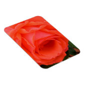 Flexible Rose Rouge de l'Été - Magnet (Côté Droit)
