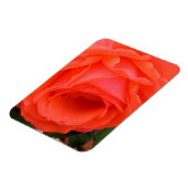 Flexible Rose Rouge de l'Été - Magnet (Côté Gauche)