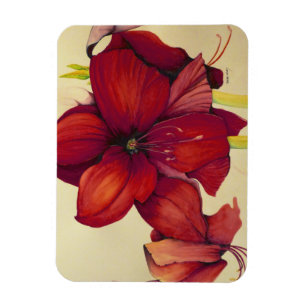 Flexible Rouge Noël Amaryllis Magnet photo