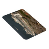 Flexible Ruby Princess Cruise, SF Magnet (Côté Droit)