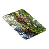 Flexible San Francisco Jardin japonais de thé #10 Magnet (Côté Droit)