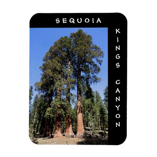 Flexible Sequoia Kings Canyon Magnet (Vertical)