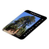 Flexible Sequoia Kings Canyon Magnet (Côté Gauche)