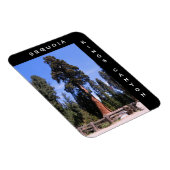 Flexible Sequoia Kings Canyon Magnet (Côté Droit)