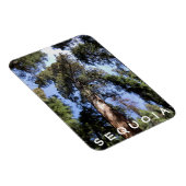 Flexible Sequoia Kings Canyon Magnet (Côté Droit)