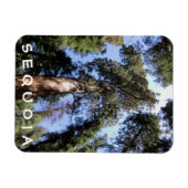 Flexible Sequoia Kings Canyon Magnet (Horizontal)