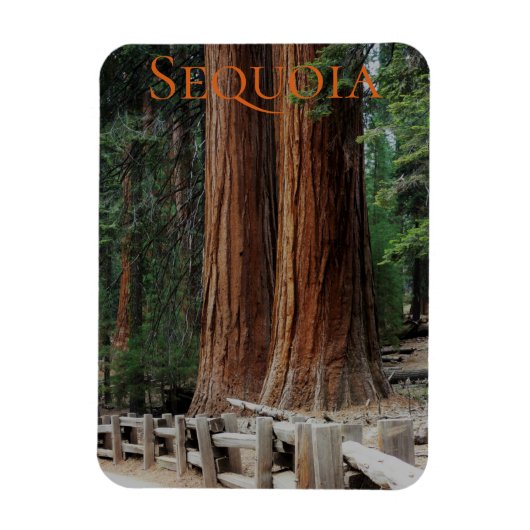 Flexible Sequoia/Kings Canyon National Park Magnet (Vertical)