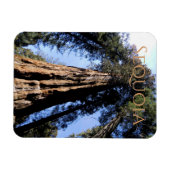 Flexible Sequoia/Kings Canyon National Park Magnet (Horizontal)