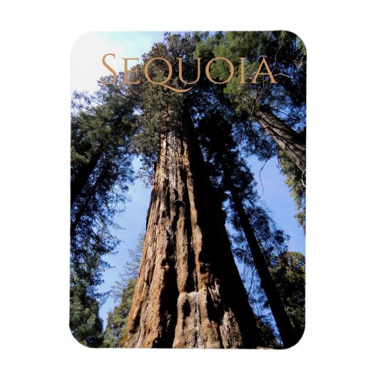 Flexible Sequoia/Kings Canyon National Park Magnet (Vertical)
