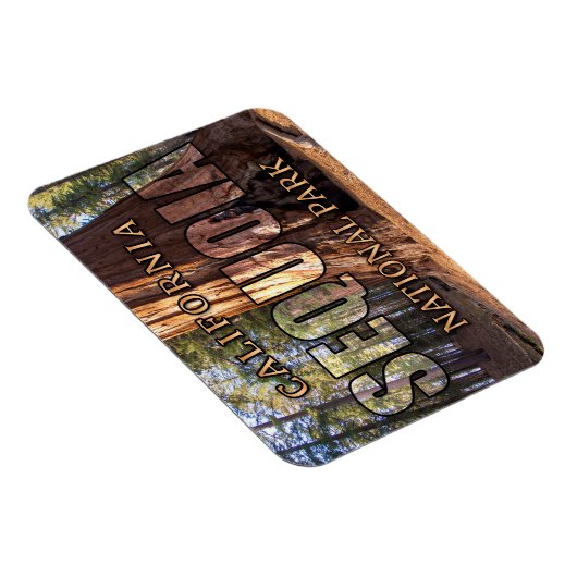 Flexible Sequoia Magnet (Côté Droit)