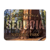 Flexible Sequoia Magnet (Horizontal)